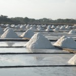 Maya Natural Sea Salt Harvest